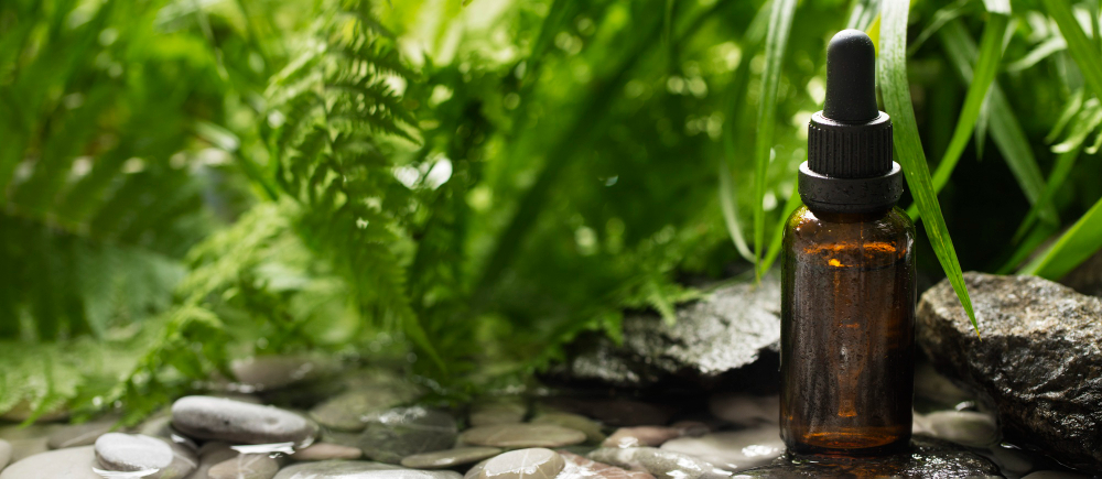 What Is Naturopathic Medicine? A Guide to Holistic Healing in Dartmouth & Bedford